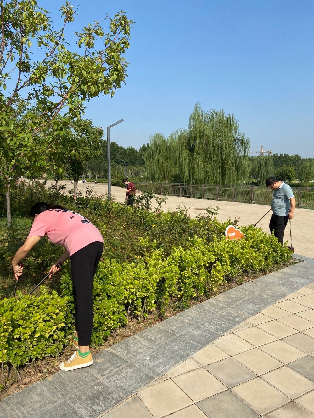 3db5c5ac4f9904374bc32b78e069a1e.jpg 3db5c5ac4f9904374bc32b78e069a1e.jpg