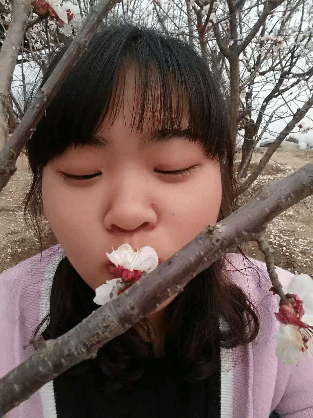 图片1.png 图片1.png