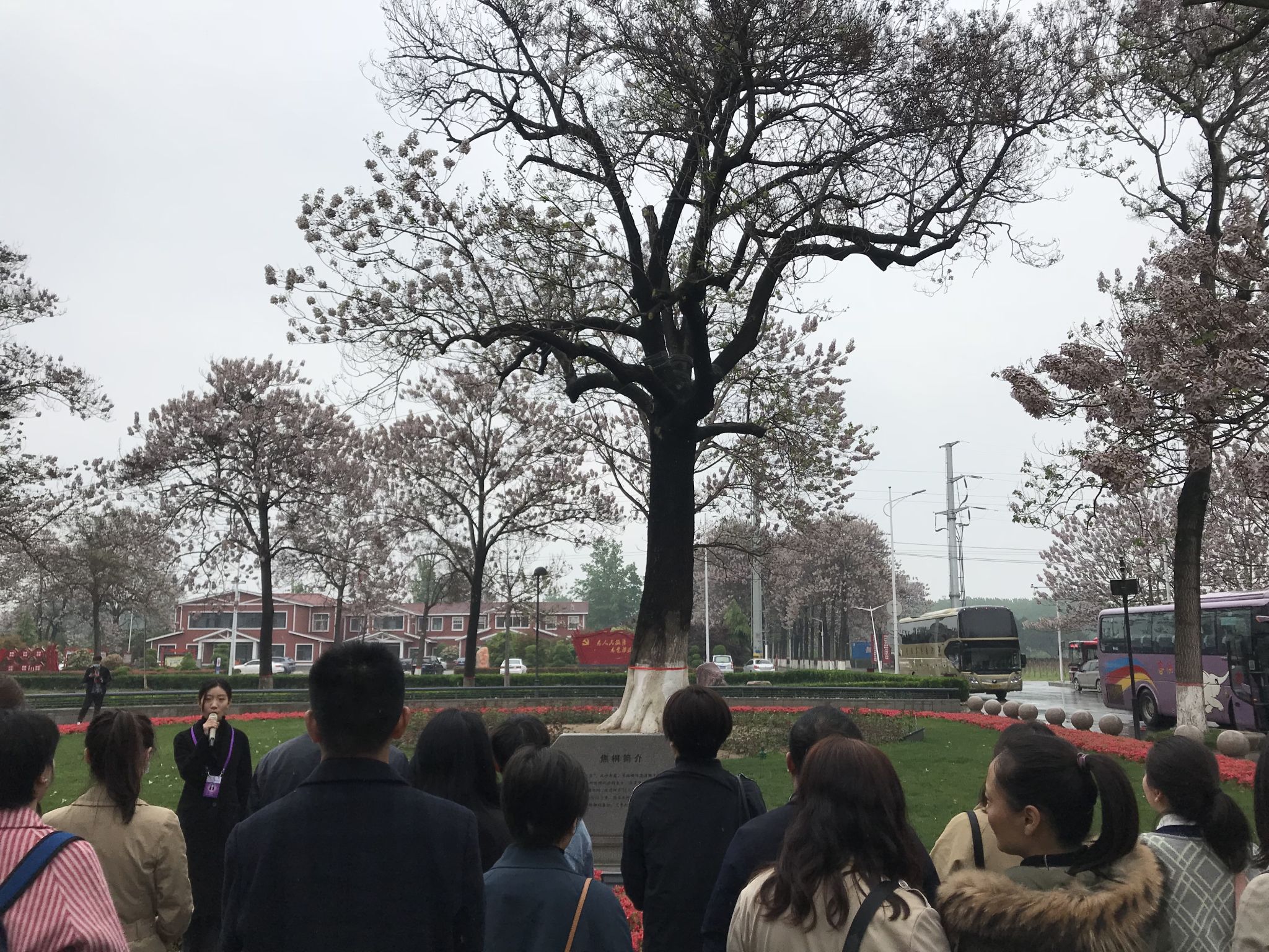 lADPD4d8se3MGcXNC9DND8A_4032_3024.jpg lADPD4d8se3MGcXNC9DND8A_4032_3024.jpg